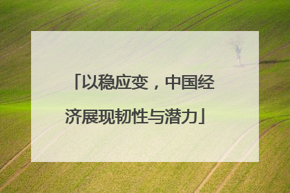 以稳应变，中国经济展现韧性与潜力