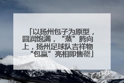 以扬州包子为原型，圆润饱满，“蒸”腾向上，扬州足球队吉祥物“包赢”亮相即售罄