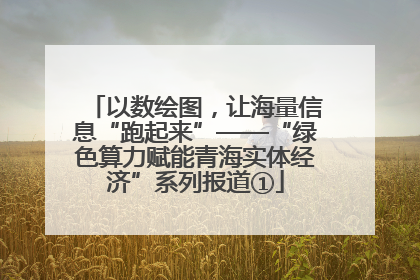 以数绘图，让海量信息“跑起来”——“绿色算力赋能青海实体经济”系列报道①