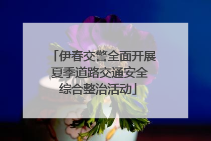 伊春交警全面开展 夏季道路交通安全综合整治活动