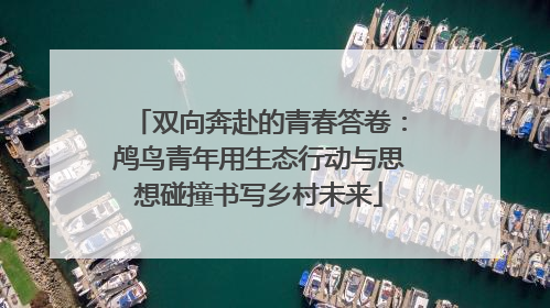 双向奔赴的青春答卷：鸬鸟青年用生态行动与思想碰撞书写乡村未来