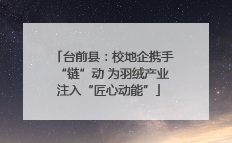 台前县：校地企携手“链”动 为羽绒产业注入“匠心动能”