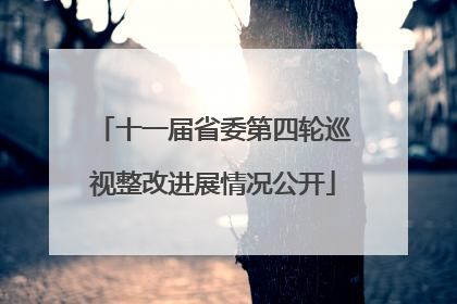 十一届省委第四轮巡视整改进展情况公开