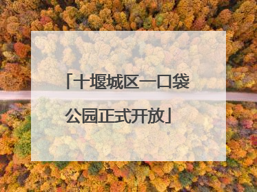 十堰城区一口袋公园正式开放