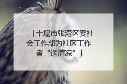 十堰市张湾区委社会工作部为社区工作者“送清凉”