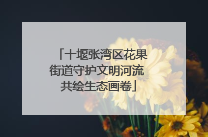 十堰张湾区花果街道守护文明河流 共绘生态画卷