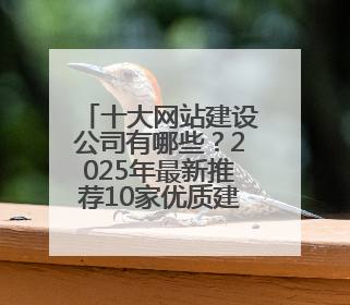 十大网站建设公司有哪些？2025年最新推荐10家优质建站公司