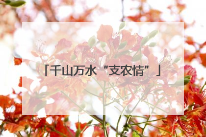 千山万水“支农情”