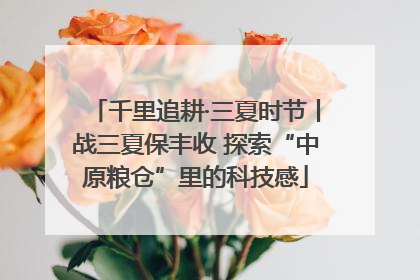 千里追耕·三夏时节丨战三夏保丰收 探索“中原粮仓”里的科技感