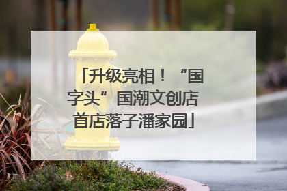升级亮相！“国字头”国潮文创店首店落子潘家园