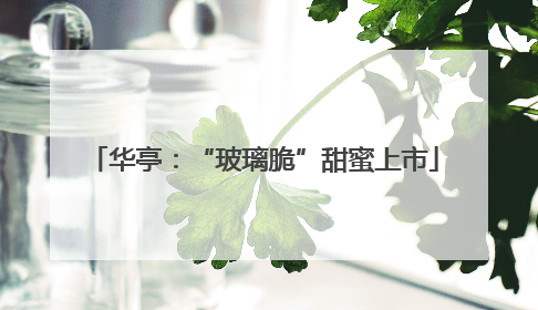 华亭：“玻璃脆”甜蜜上市