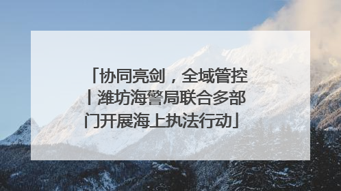 协同亮剑，全域管控丨潍坊海警局联合多部门开展海上执法行动