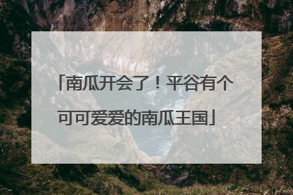南瓜开会了！平谷有个可可爱爱的南瓜王国