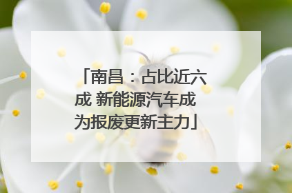 南昌：占比近六成 新能源汽车成为报废更新主力