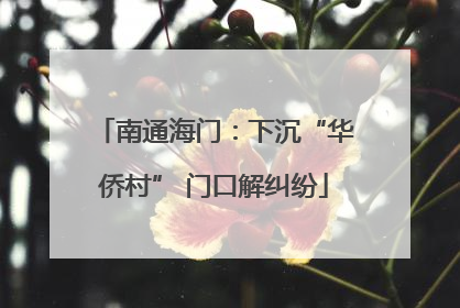 南通海门：下沉“华侨村” 门口解纠纷