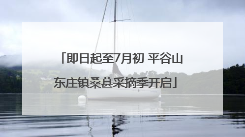 即日起至7月初 平谷山东庄镇桑葚采摘季开启