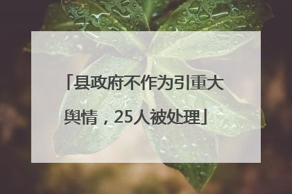 县政府不作为引重大舆情，25人被处理