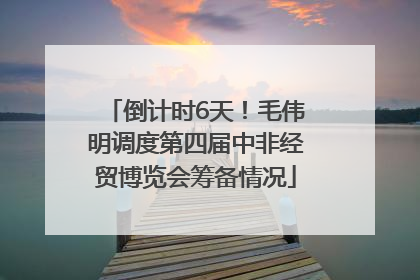倒计时6天！毛伟明调度第四届中非经贸博览会筹备情况