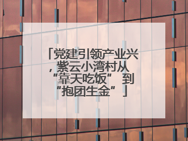 党建引领产业兴，紫云小湾村从 “靠天吃饭” 到 “抱团生金”