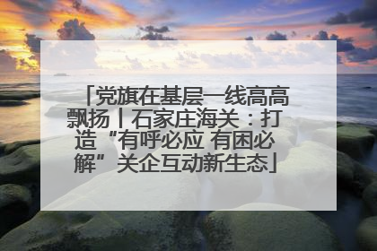 党旗在基层一线高高飘扬丨石家庄海关：打造“有呼必应 有困必解”关企互动新生态