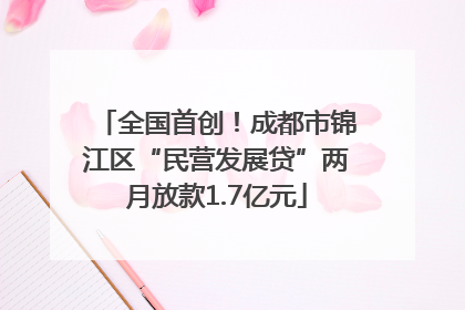 全国首创！成都市锦江区“民营发展贷”两月放款1.7亿元
