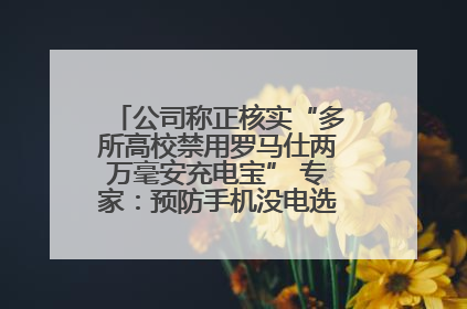 公司称正核实“多所高校禁用罗马仕两万毫安充电宝” 专家：预防手机没电选中等体积产品即可