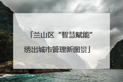 兰山区“智慧赋能”绣出城市管理新图景