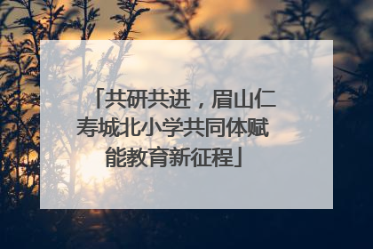 共研共进，眉山仁寿城北小学共同体赋能教育新征程