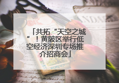 共拓“天空之城”！黄陂区举行低空经济深圳专场推介招商会