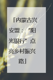 内蒙古兴安盟：“阳光银行”点亮乡村振兴路