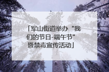 军山街道举办“我们的节日-端午节”暨禁毒宣传活动