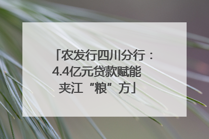 农发行四川分行：4.4亿元贷款赋能夹江“粮”方