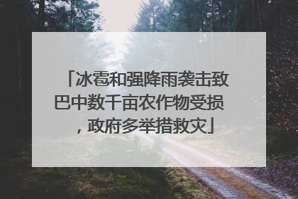 冰雹和强降雨袭击致巴中数千亩农作物受损，政府多举措救灾