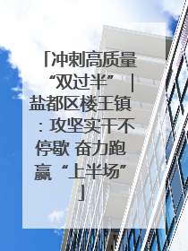 冲刺高质量“双过半”｜盐都区楼王镇：攻坚实干不停歇 奋力跑赢“上半场”