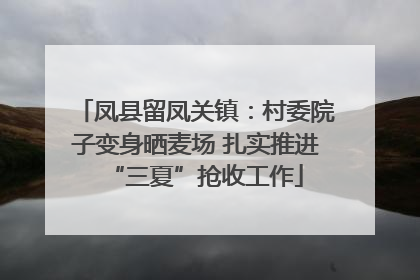 凤县留凤关镇：村委院子变身晒麦场 扎实推进“三夏”抢收工作