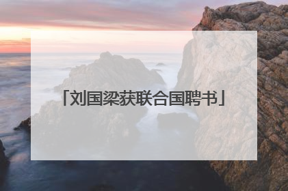 刘国梁获联合国聘书