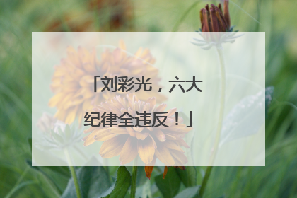 刘彩光，六大纪律全违反！