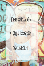 刚刚宣布！湖北新增一家国企