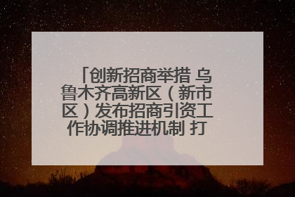 创新招商举措 乌鲁木齐高新区（新市区）发布招商引资工作协调推进机制 打造投资发展新高地