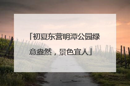 初夏东营明潭公园绿意盎然，景色宜人