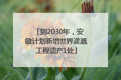 到2030年，安徽计划新增世界灌溉工程遗产1处