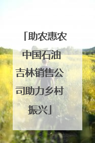 助农惠农 中国石油吉林销售公司助力乡村振兴