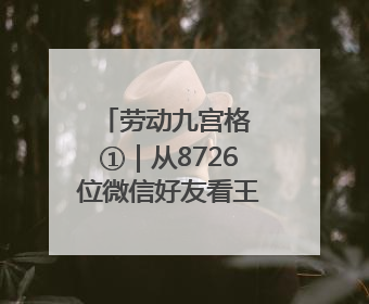 劳动九宫格 ①｜从8726位微信好友看王星苹的公益信仰与坚持