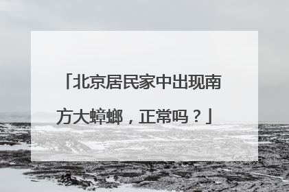 北京居民家中出现南方大蟑螂，正常吗？