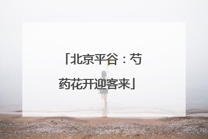 北京平谷：芍药花开迎客来