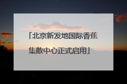 北京新发地国际香蕉集散中心正式启用