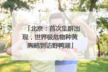 北京：首次集群出现，世界极危物种黄胸鹀到访野鸭湖