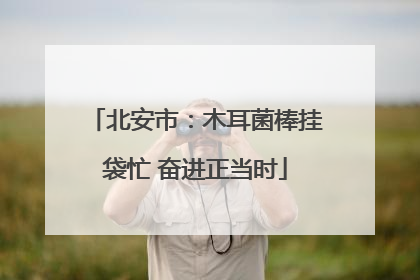 北安市：木耳菌棒挂袋忙 奋进正当时