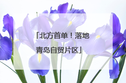 北方首单！落地青岛自贸片区