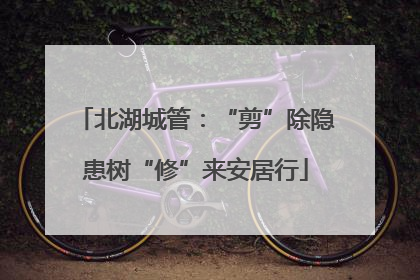 北湖城管：“剪”除隐患树“修”来安居行